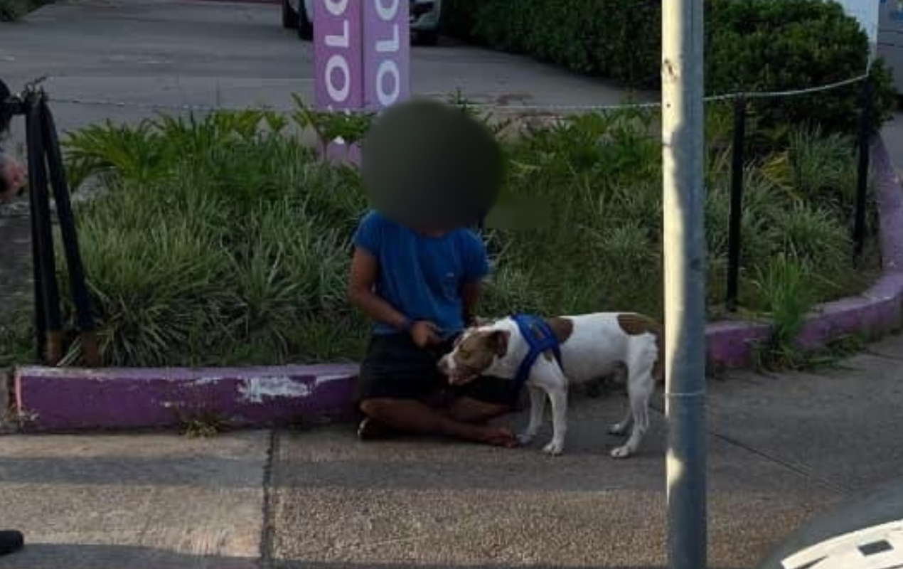 Homem em situação de rua é preso suspeito de incentivar cão a atacar pedestres em avenida de Sorocaba
