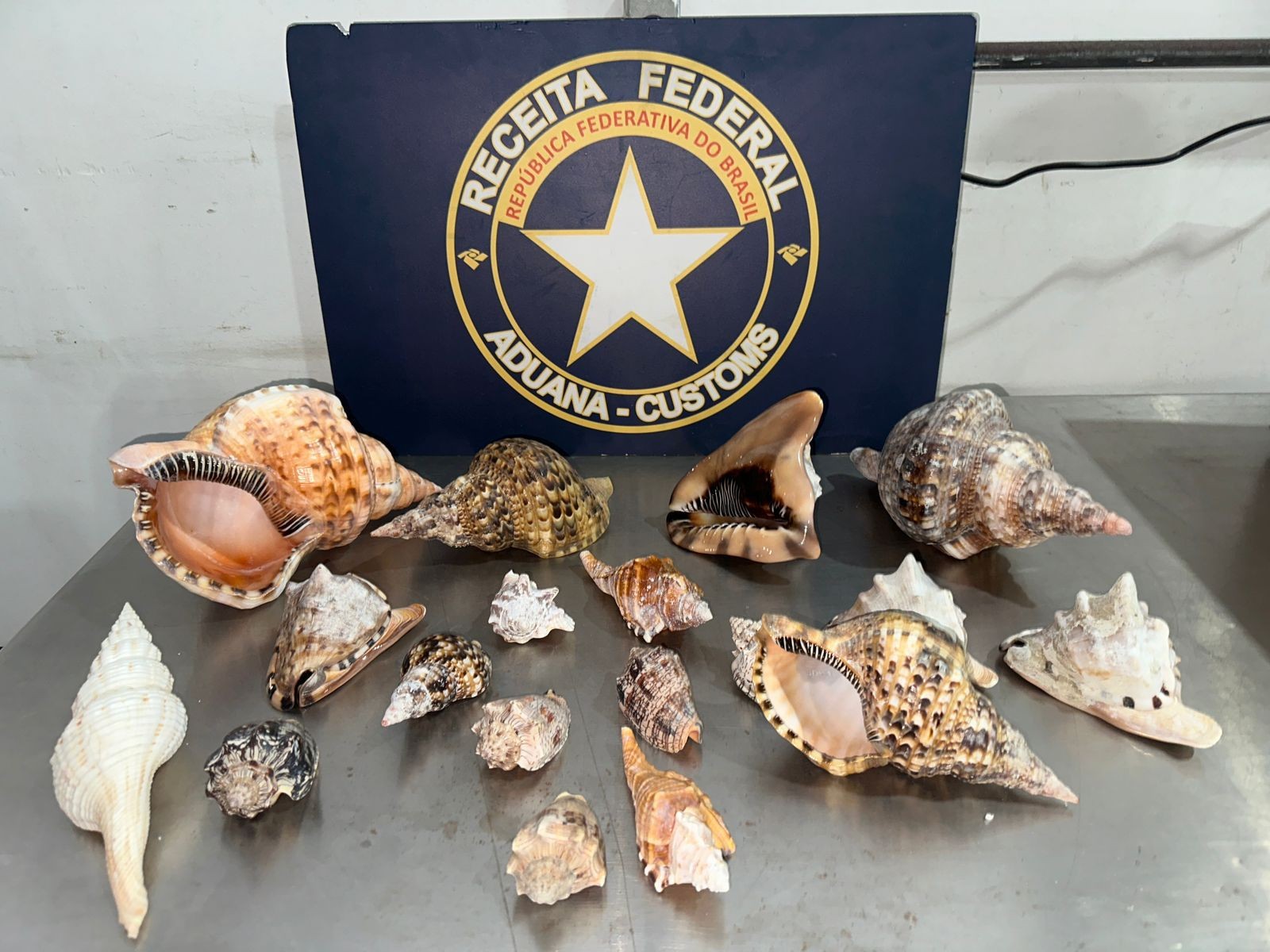 Você Não Tá Convidada pro Meu Bat Mitzvá!