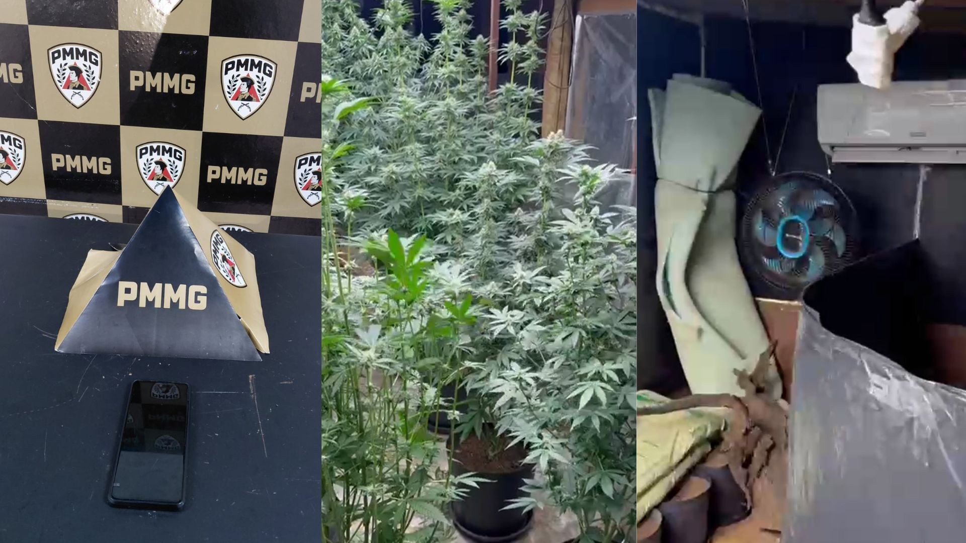 Mãe que levou sem querer polícia até estufa de maconha do filho tinha furtado celular de médico que a atendeu