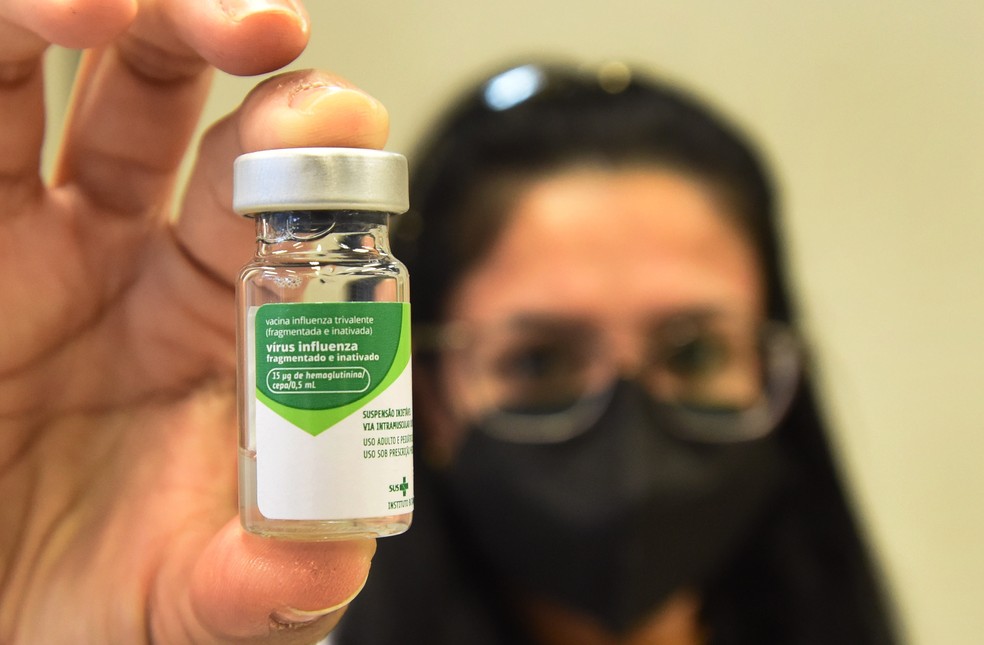 Vacinação Gratuita Contra A Gripe 2023: Franquias, PDF, Gripe
