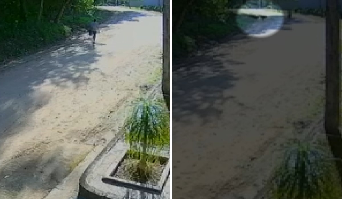 VÍDEO mostra momento em que idosa é atacada por cães a caminho do trabalho em Amparo