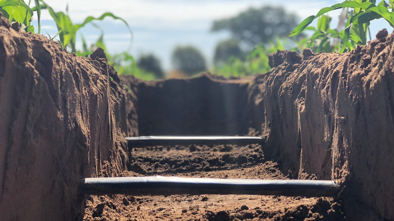 Estudo da USP revela que 64% dos solos do mundo são frágeis e alerta para impactos na agricultura e meio ambiente