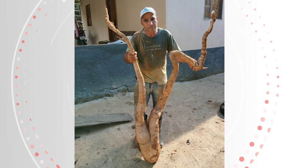 Roberto de Souza Teixeira, é agricultor de Alto Rio Novo, Espírito Santo, e encontrou uma mandioca com formato de gente — Foto: Acervo pessoal