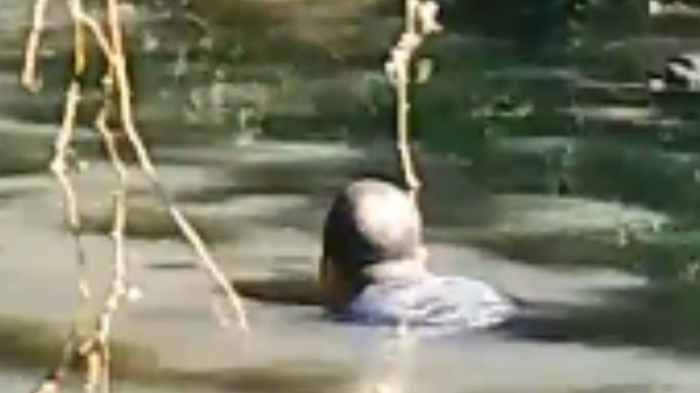 Para fugir após tentativa de roubo, homem pula em córrego e acaba preso em Campinas; VÍDEO