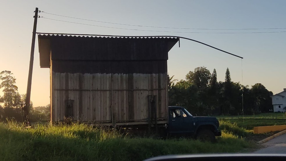 Flagrante de transporte irregular aconteceu no Sul de SC — Foto: PMRv/ Divulgação