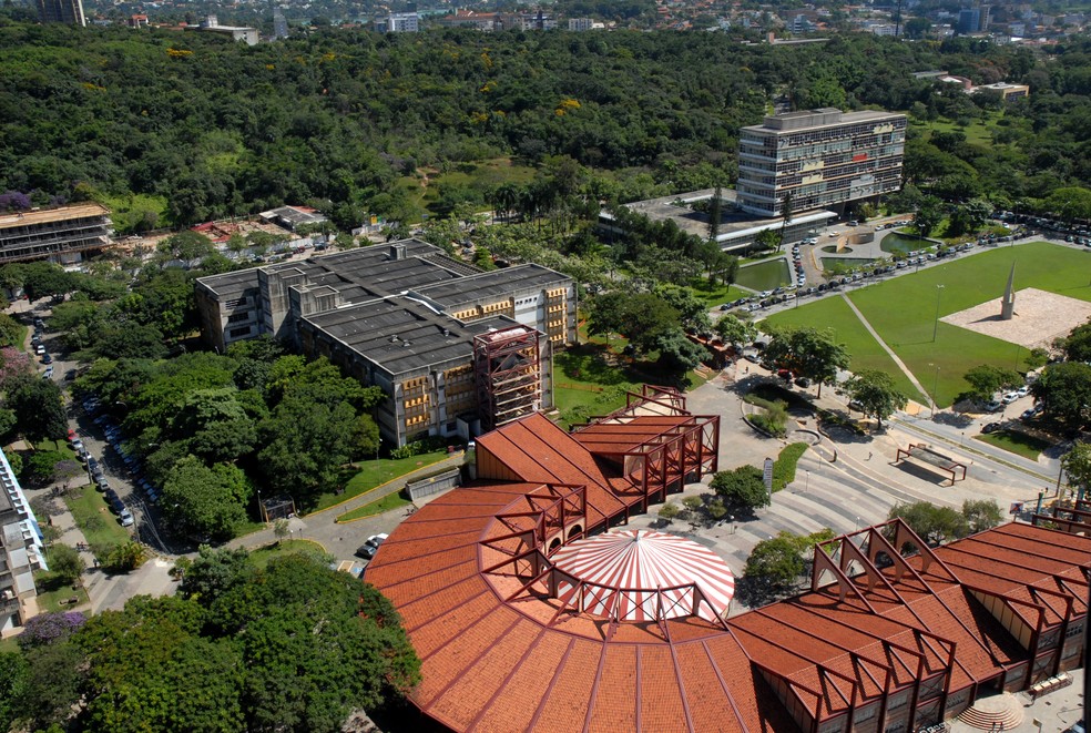 UFMG - Universidade Federal de Minas Gerais - Parto normal ou