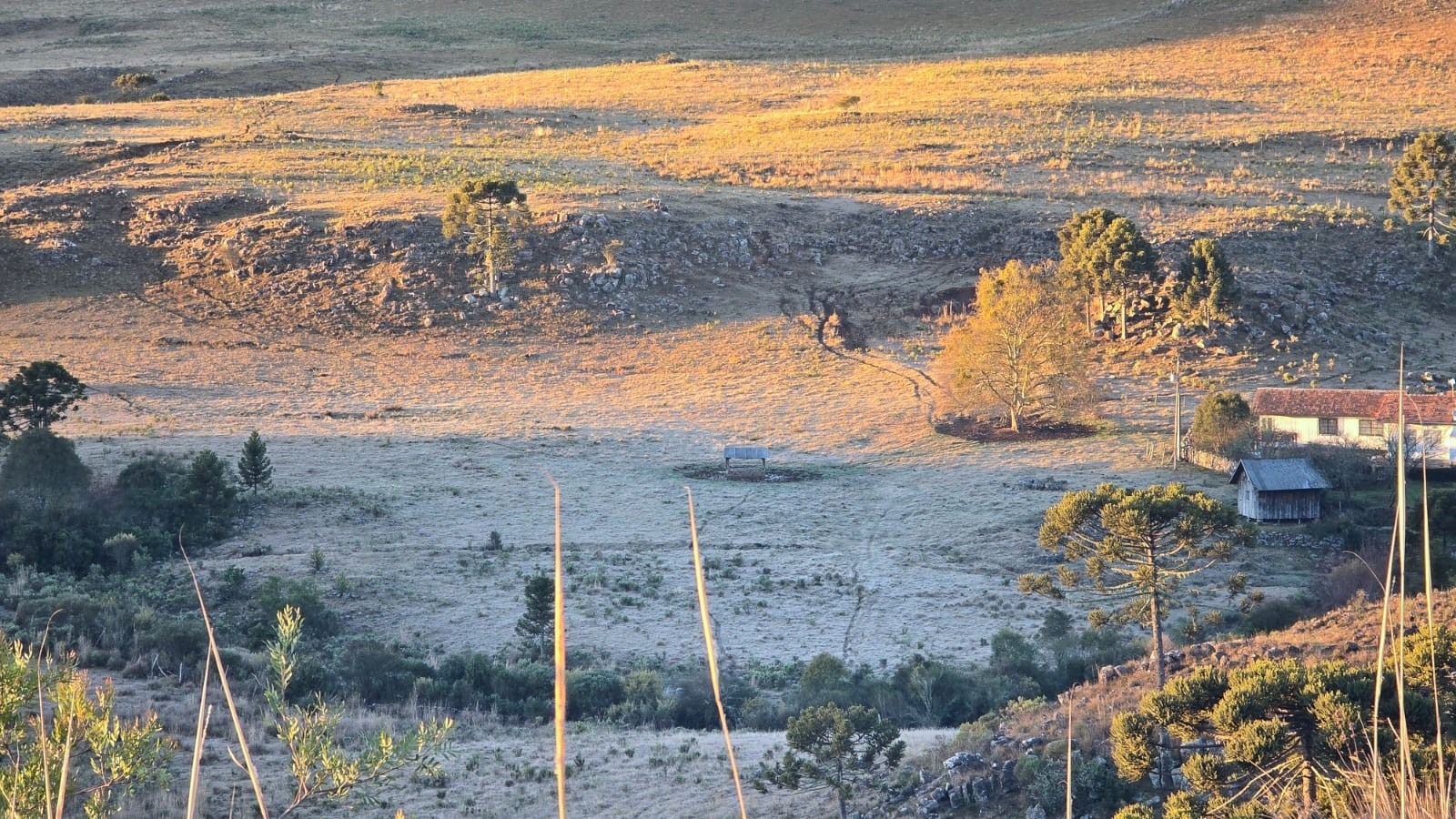 SC registra -5,1ºC e geada em dia que promete máximas de até 25ºC; VÍDEO