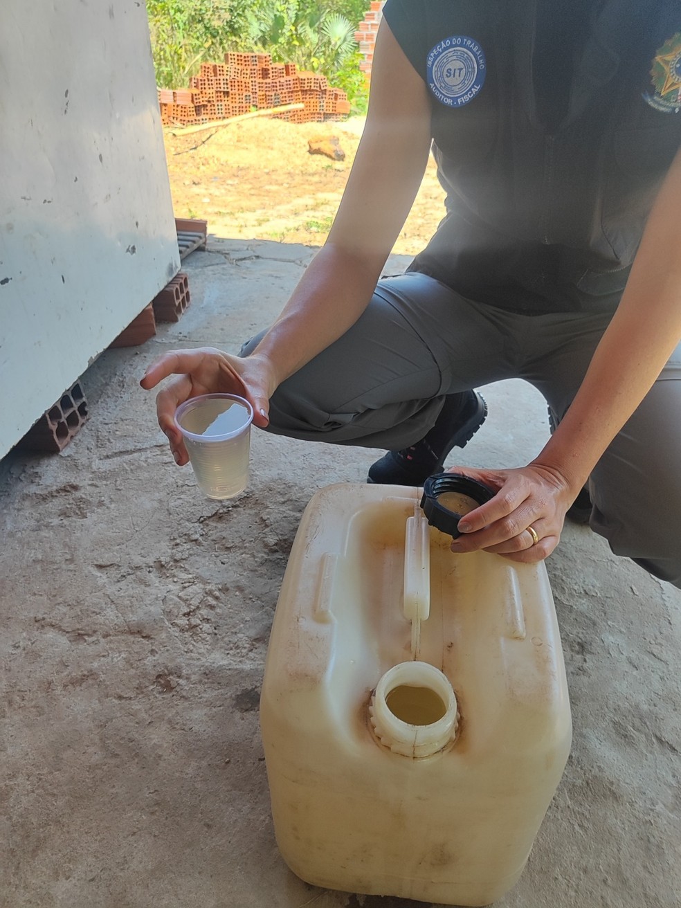 Em Magalhães de Almeida, foram resgatados 76 trabalhadores que atuavam na extração da palha de carnaúba e viviam em condições degradantes. — Foto: Divulgação/Secretaria de Inspeção do Trabalho