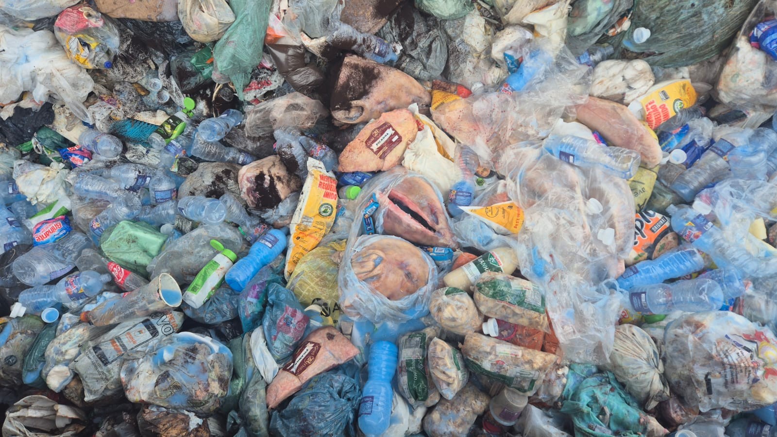 Operação descarta mais de 600kg de alimentos e produtos vencidos em supermercado de MT