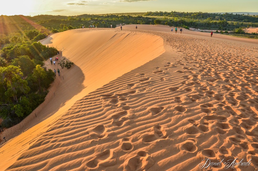 Dunas do Jalapão fazem parte de um ecossistema delicado — Foto: xx/Naturatins/Divulgação