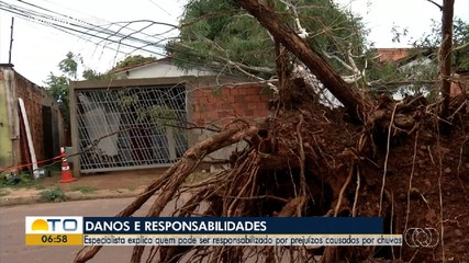 Saiba quem pode ser responsabilizado por prejuízos causados por temporais