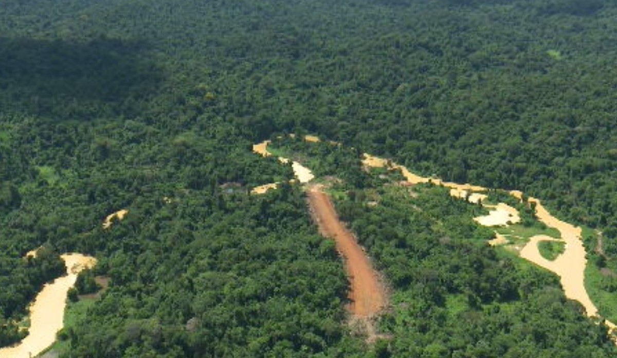 Jogo de mundo aberto e sobrevivência na floresta amazônica, Green