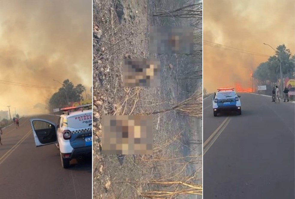 Quatro pessoas da mesma família morrem queimadas em grande incêndio em Canto do Buriti, no Piauí — Foto: Reprodução