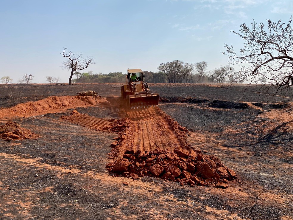 Cova sendo aberta para colocar gado carbonizado — Foto: Kleyton Guilherme/TV Integração