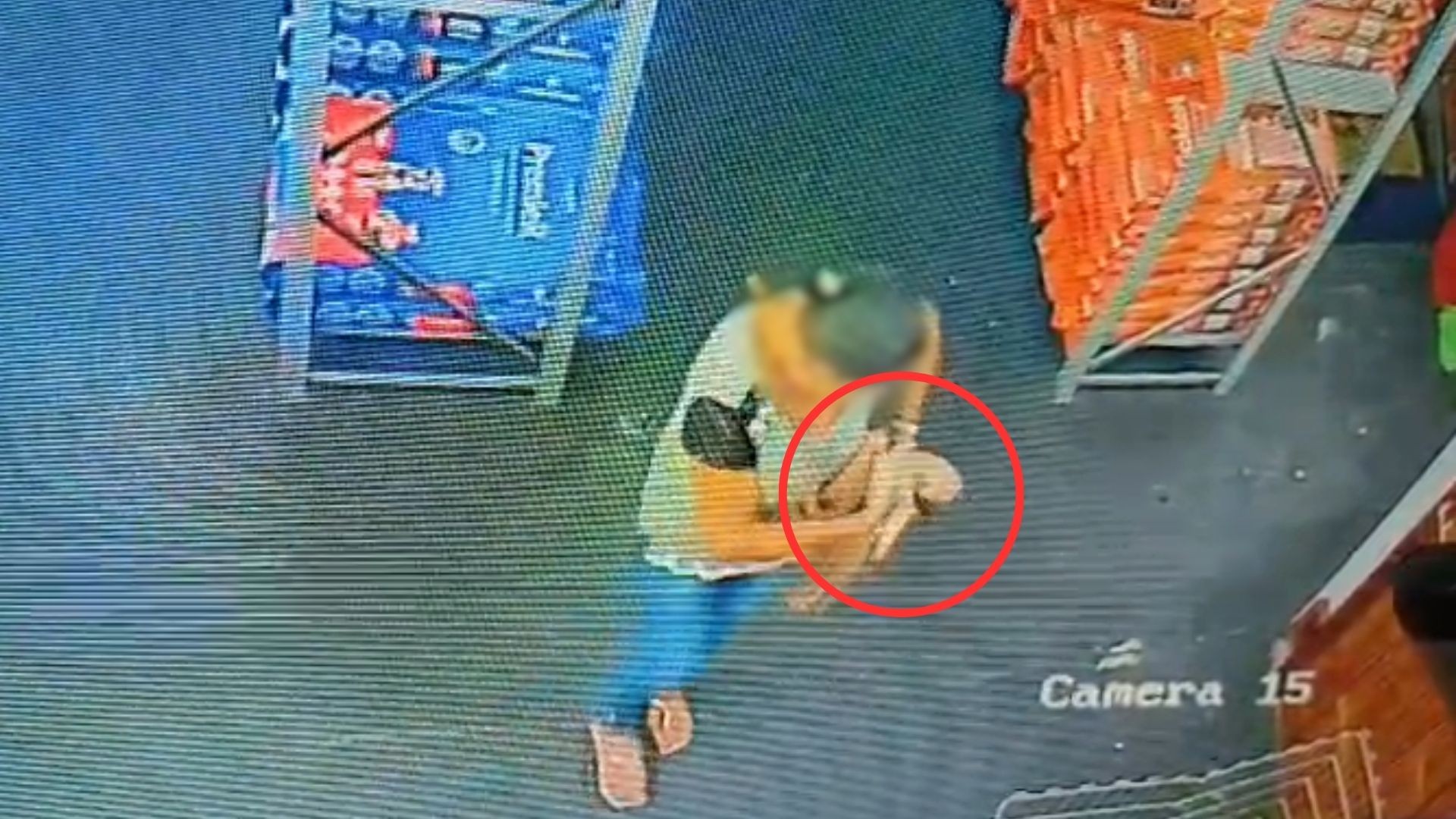 Mulher esconde filhote de cachorro na bolsa e furta no interior de SP