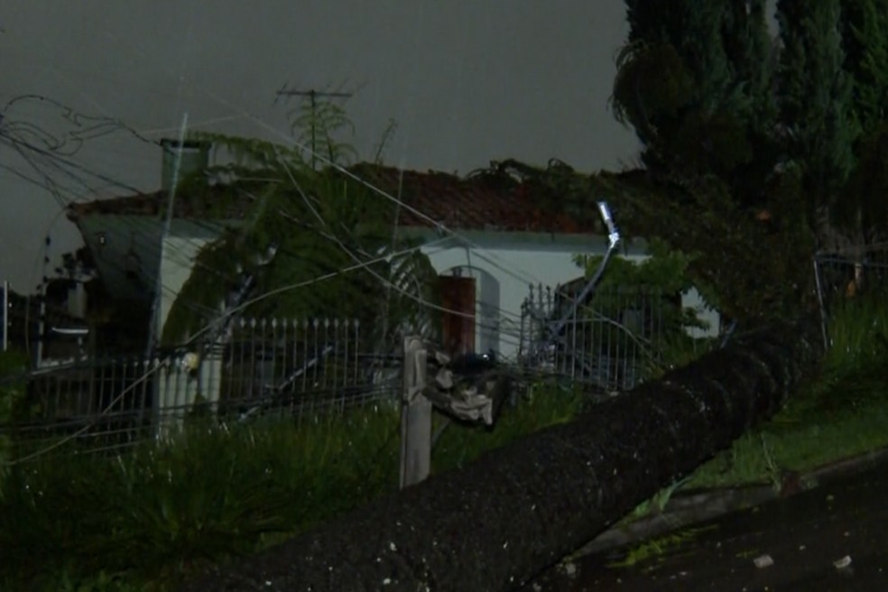 Queda de árvore sob casa em Curitiba — Foto: Reprodução/RPC