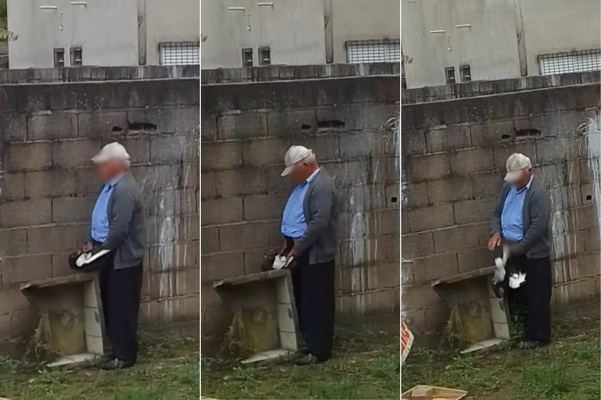 Idoso é investigado por zoofilia após ser filmado abusando de pata no litoral de SP; VÍDEO