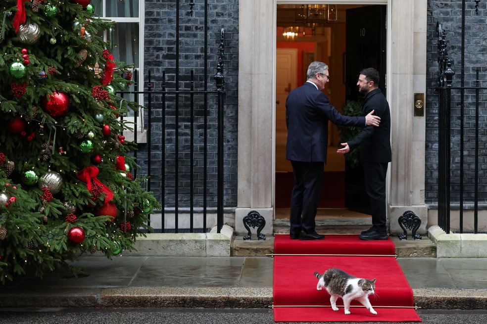 Gato Larry aparece durante recepção do premiê do Reino Unido, Keir Starmer, ao presidente ucraniano, Volodymyr Zelensky, na residência oficial do governo britânico em 8 de dezembro de 2025. — Foto: REUTERS/Hannah McKay