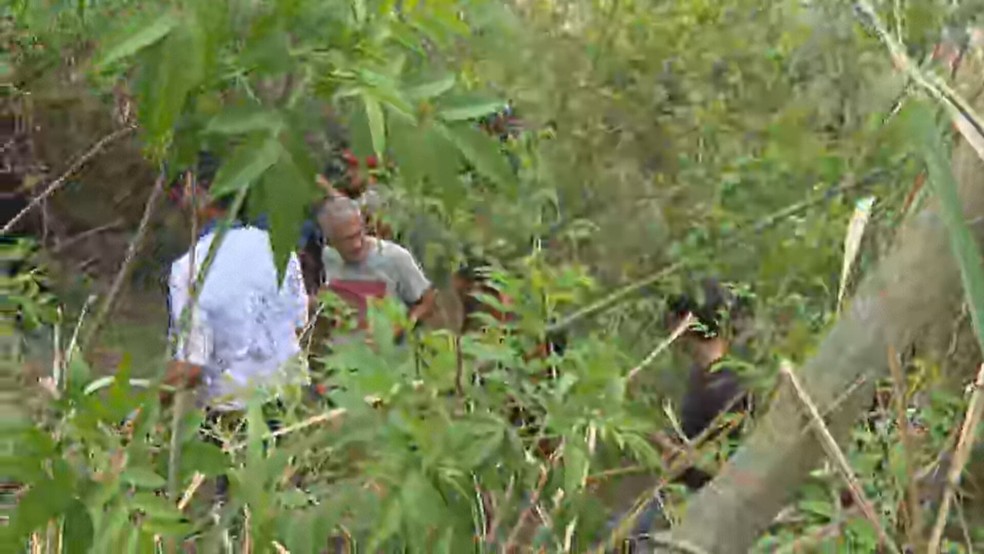 Moradores buscam corpos em área conhecida como Pedreira, no Complexo da Penha — Foto: Reprodução/ TV Globo
