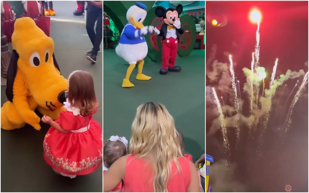 Festa de Maria Flor contou com personagens da Disney e show de fogos de artifício em Goiânia — Foto: Reprodução/Redes Sociais