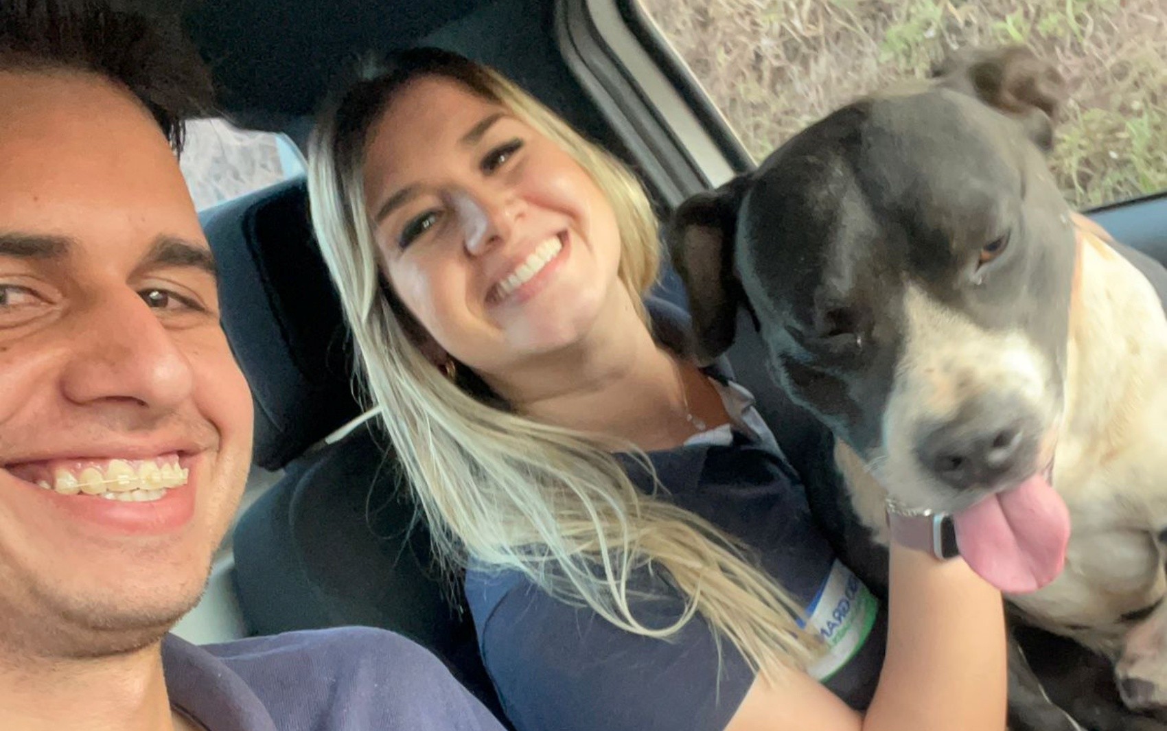 Com mobilização de moradores, cachorro comunitário é encontrado após uma semana desaparecido em MG