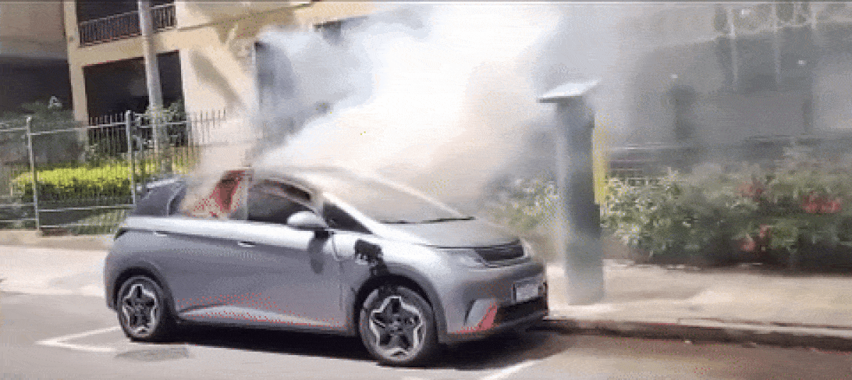 BYD Dolphin pega fogo durante recarga; entenda o que causou e como se prevenir