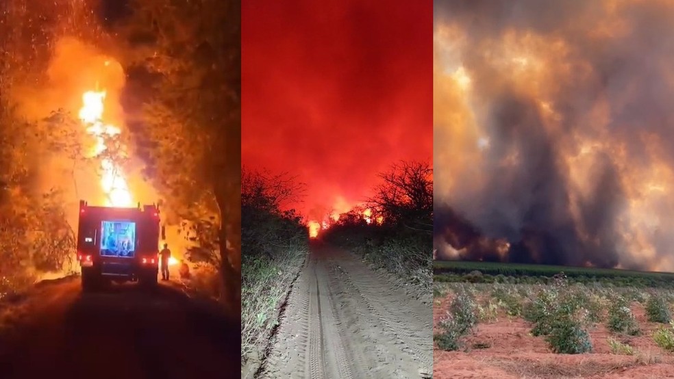 Incêndios se espalham por todo Mato Grosso do Sul. — Foto: Reprodução