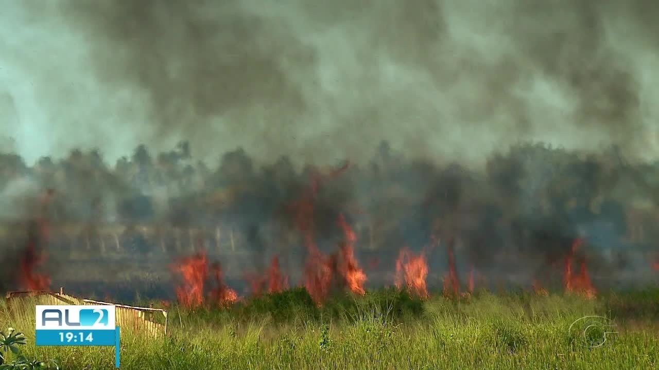 Incêndio atinge vegetação e dificulta visibilidade de motoristas na AL-101 Sul, em Marechal Deodoro