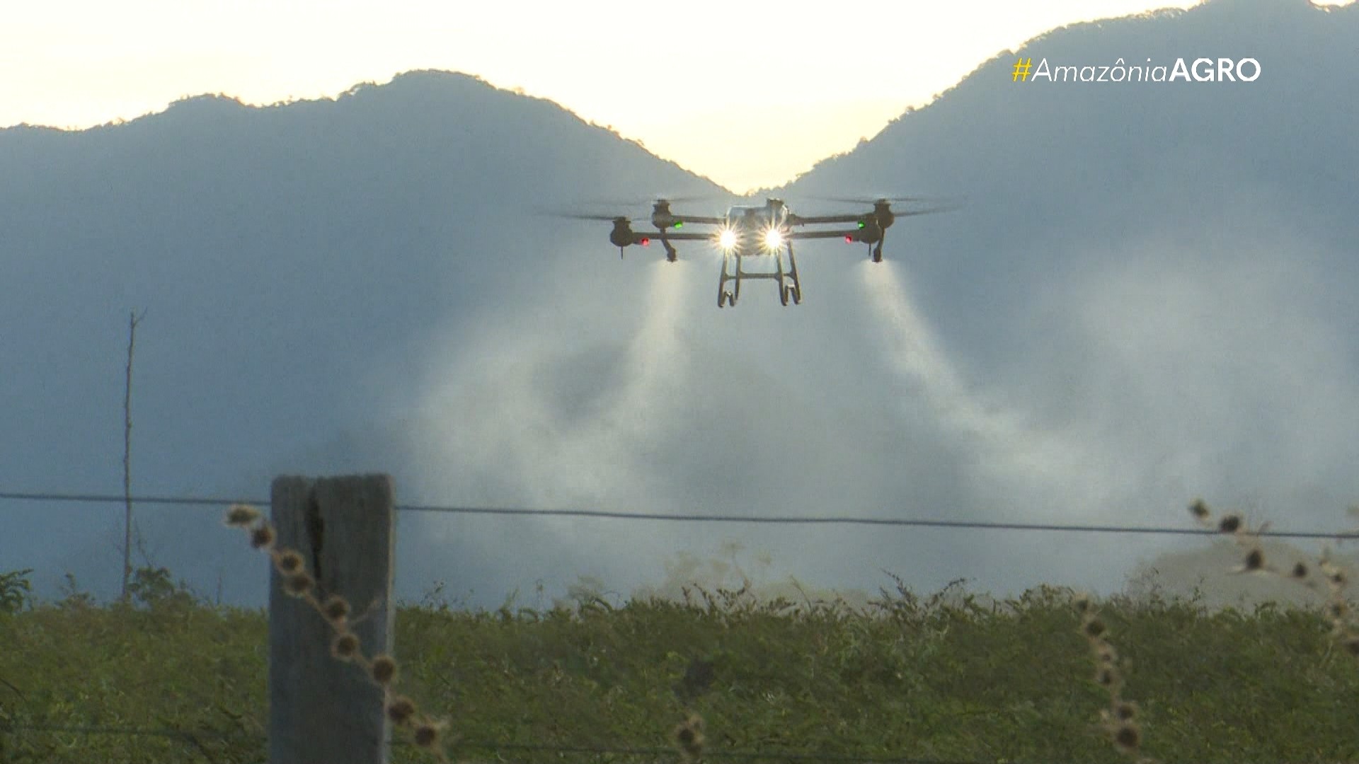 VÍDEOS: Amazônia Agro - Roraima deste domingo, 13 de outubro de 2024