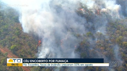 Focos de incêndios florestais cresceram 55% no mês de agosto no Tocantins