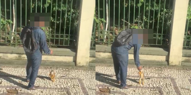 Semma alerta sobre perigo à saúde animal após homem alimentar macaco no Bosque Rodrigues Alves