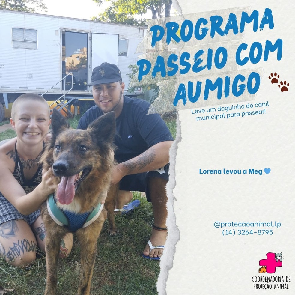 Meg foi passear pelo programa "Passeio com Aumigo" da Coordenadoria de Proteção Animal de Lençóis Paulista — Foto: Facebook/Reprodução