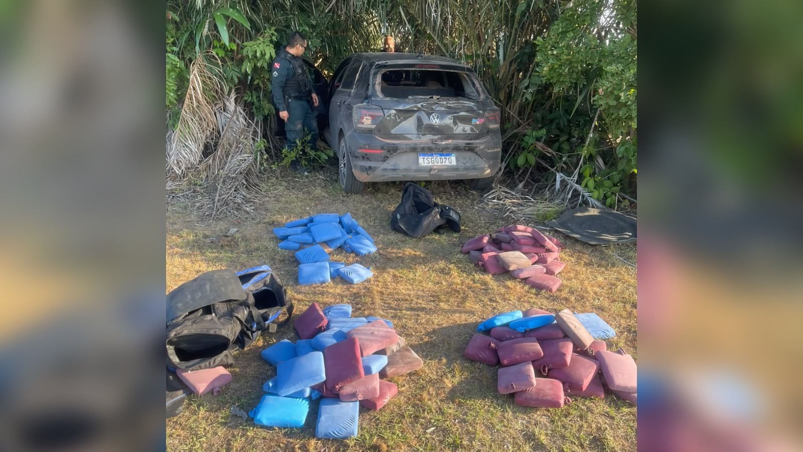 Polícia Civil prende em Parintins suspeito de transportar 114 kg de skunk apreendidos em Juruti