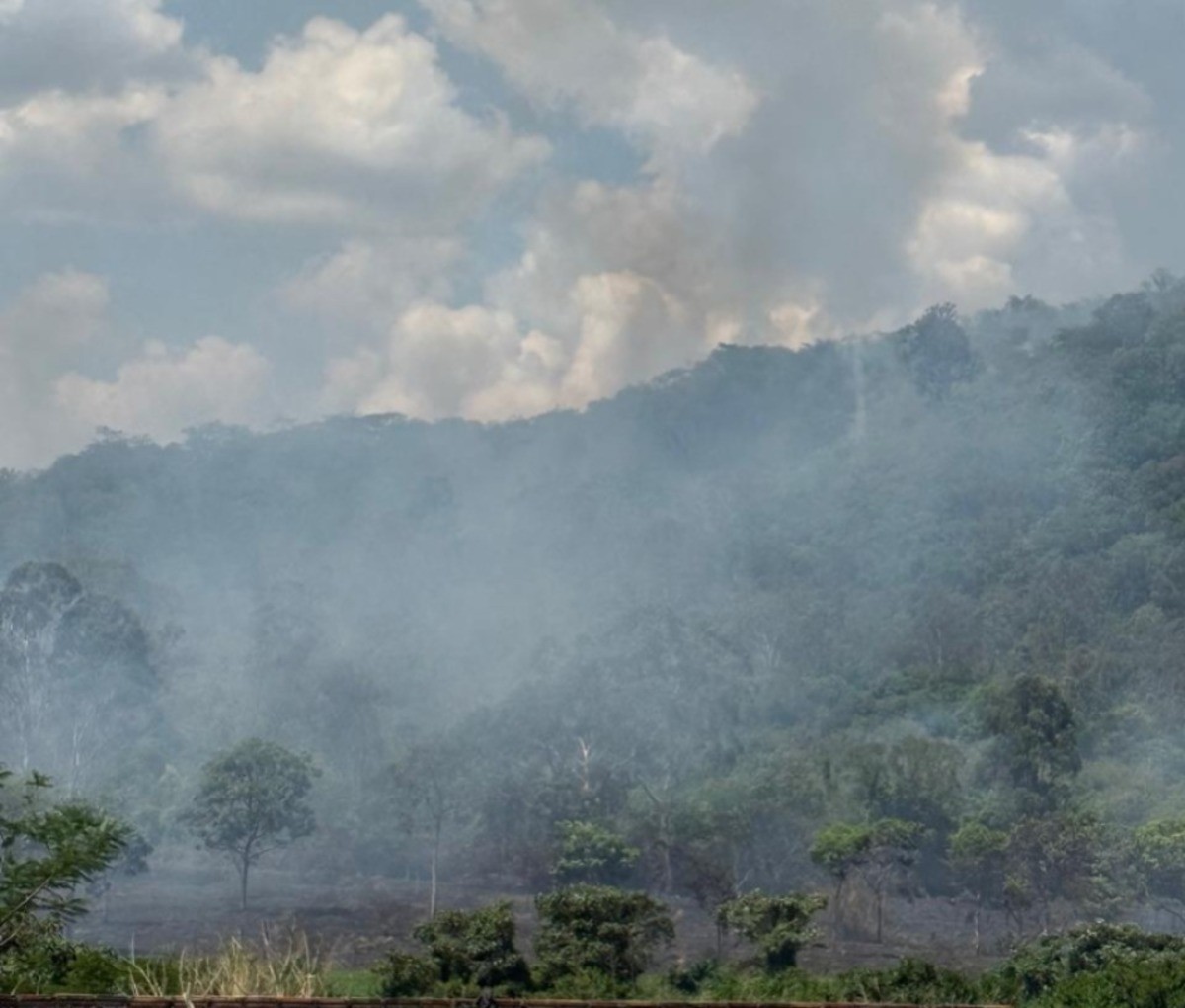 VÍDEO: Incêndio destrói área equivalente a 42 campos de futebol e ameaça casas em MG