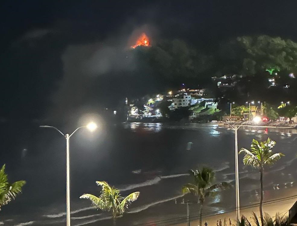 Incêndio atingiu o Morro do Careca em 6 de fevereiro — Foto: Redes sociais