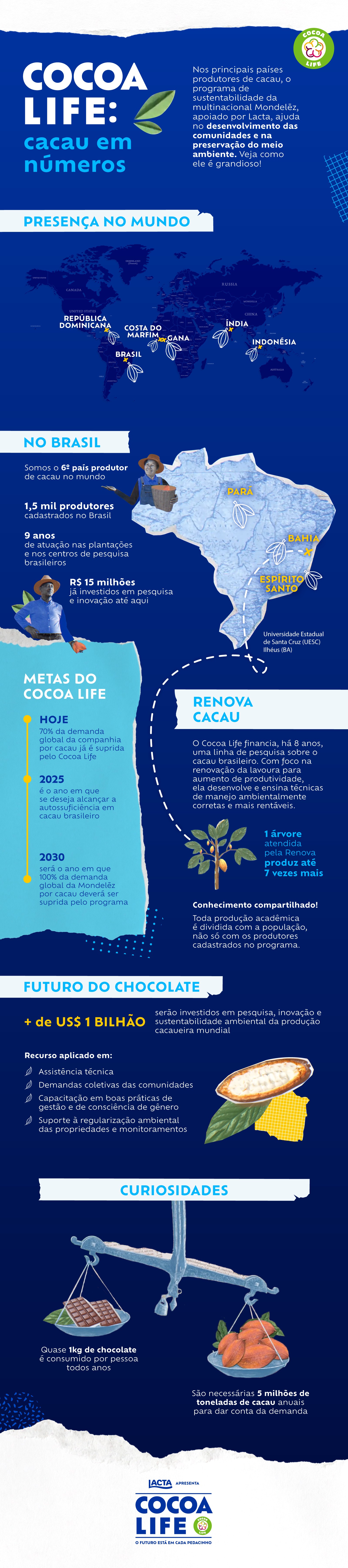 Cocoa Life: veja o alcance do programa que está transformando a produção do cacau