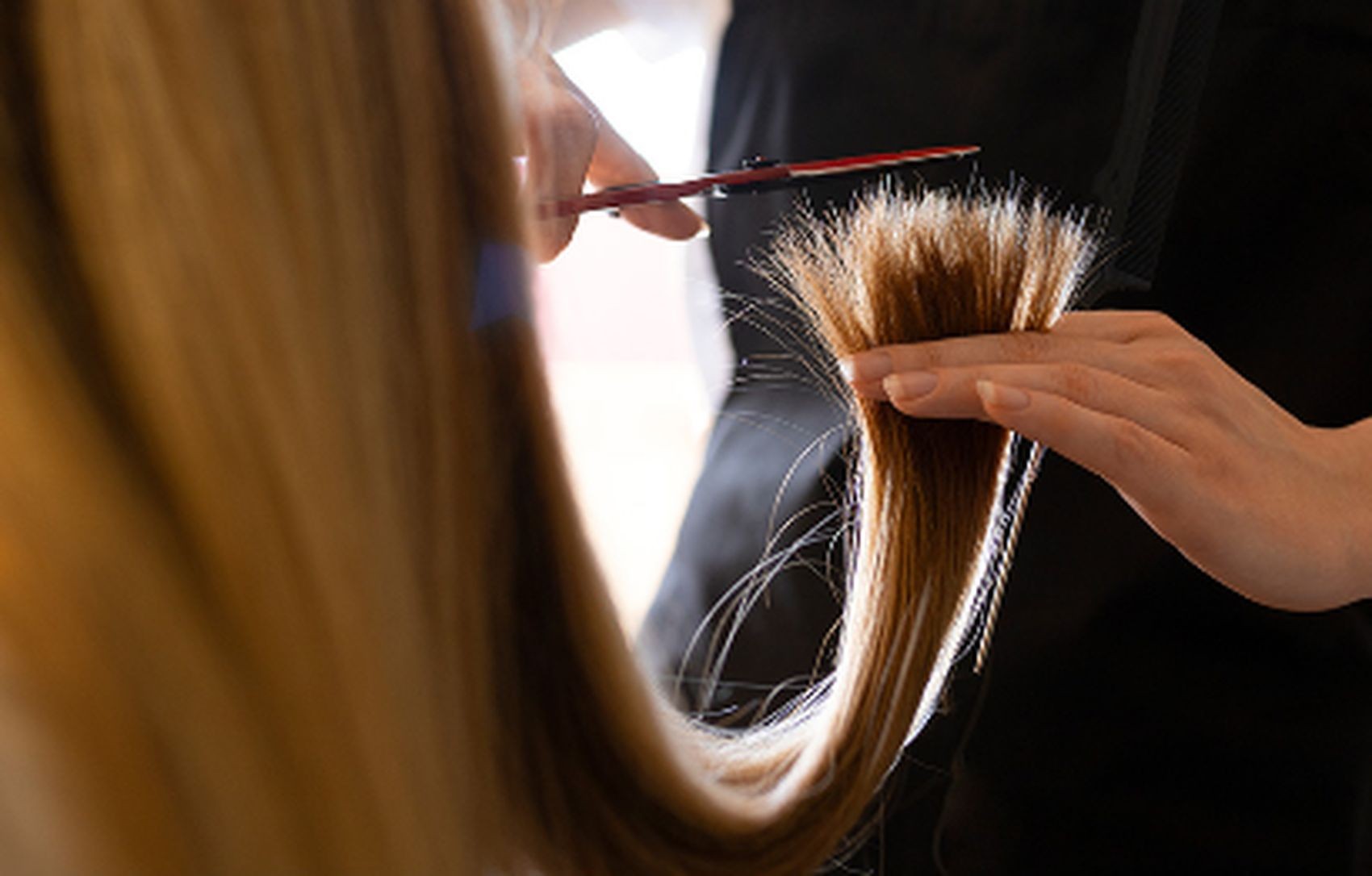 Você Não Tá Convidada pro Meu Bat Mitzvá!