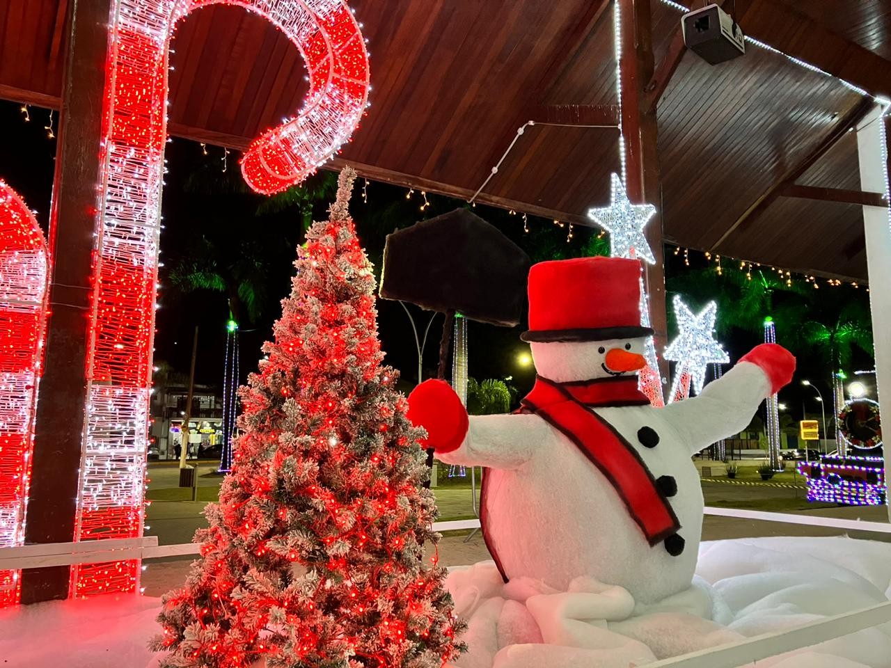 Com luzes e temática de neve, Tremembé inaugura decoração de Natal; veja FOTOS