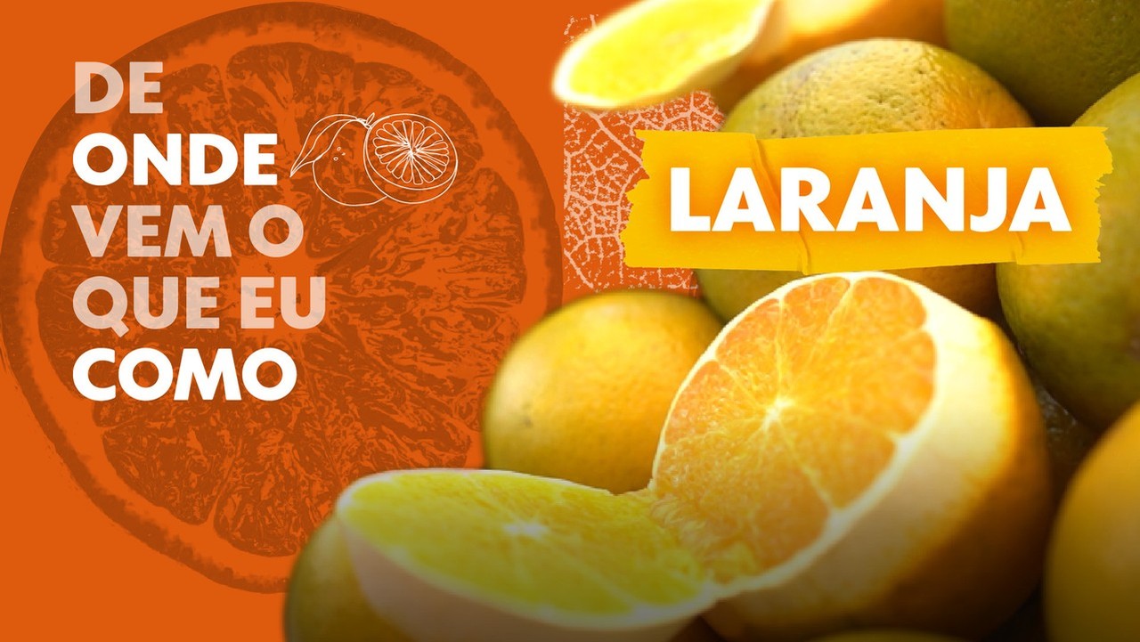 Preço dos alimentos: saiba o que pode ficar mais barato ou caro em 2025, segundo especialistas