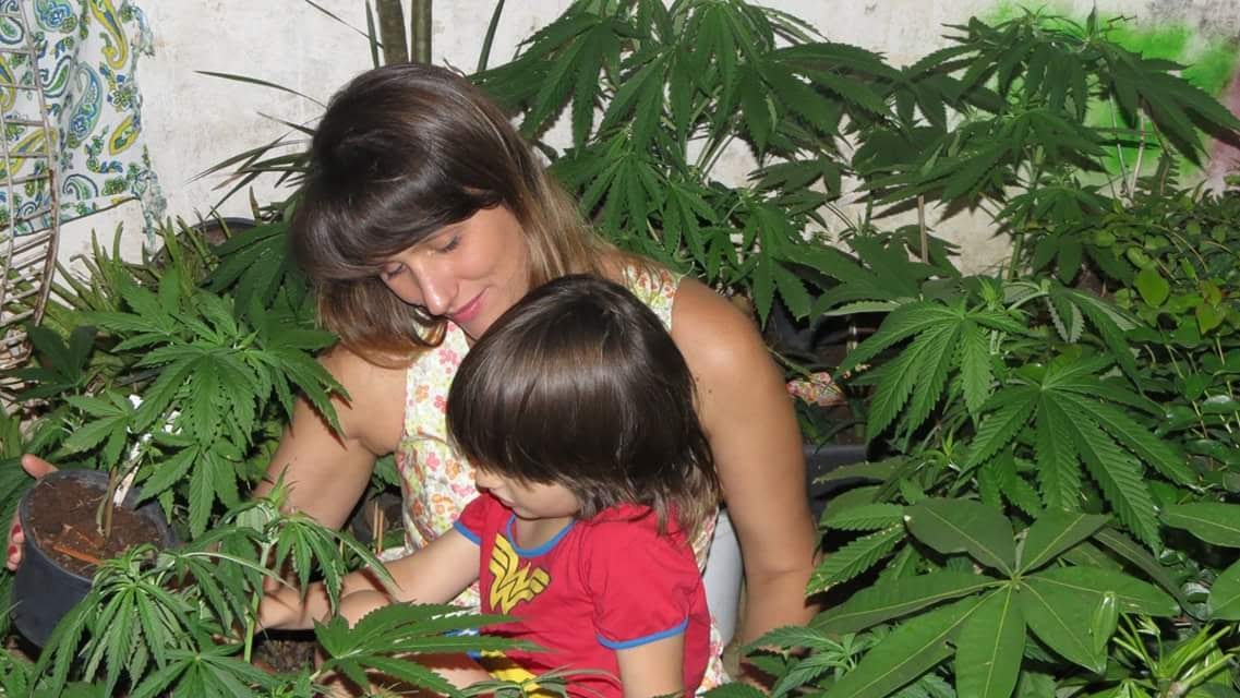 Mãe acusada de tráfico soma cinco habeas corpus por cultivar cannabis medicinal para tratar criança autista