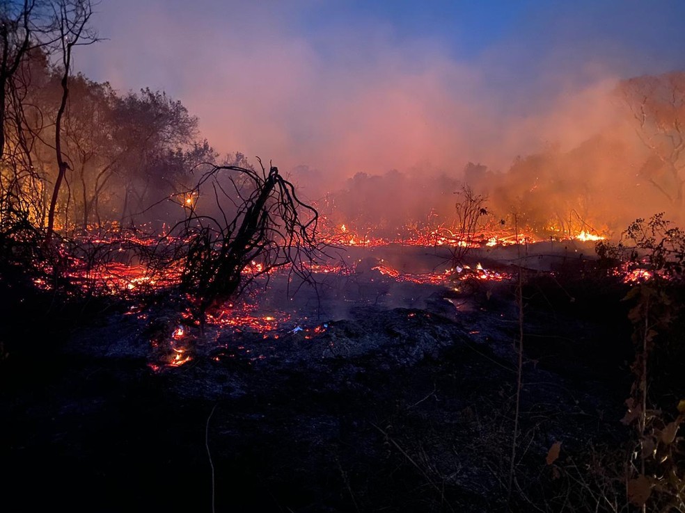 Queimadas no Pantanal — Foto: Arquivo Pessoal