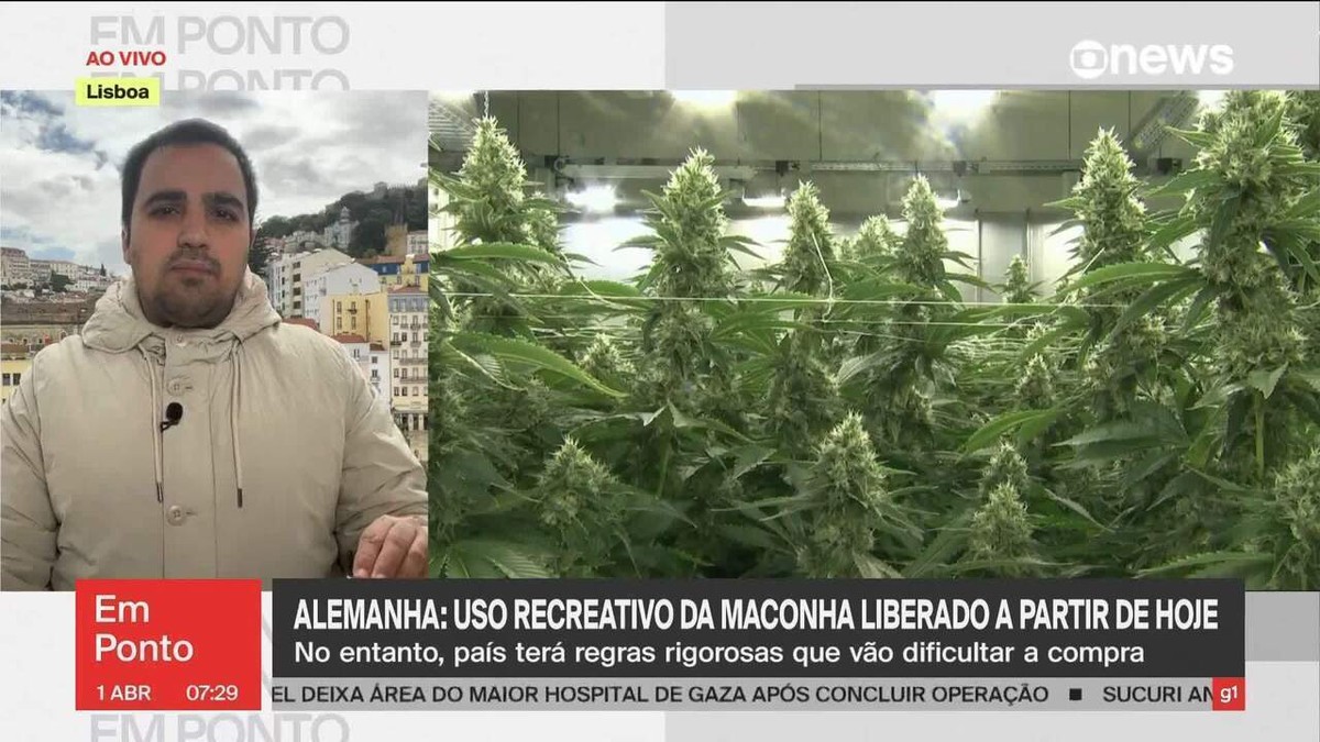 Alemanha legaliza o consumo recreativo da maconha a partir desta segunda (1º)