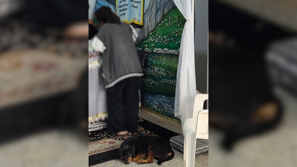 1 de 2
Cachorro acompanhou a despedida de um jovem de 25 anos, ao lado do caix&atilde;o durante vel&oacute;rio em Bastos &mdash; Foto: Reprodu&ccedil;&atilde;o