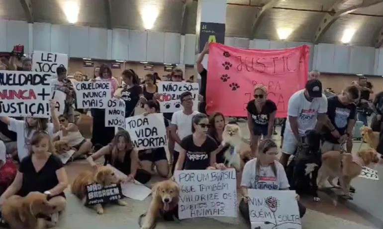 Cão Joca: tutores de pets e membros de ONGs protestam no Aeroporto de Salvador pela morte do golden retriever