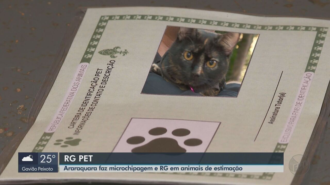 RG Pet: Araraquara passa a ter documento de identificação para animais | G1