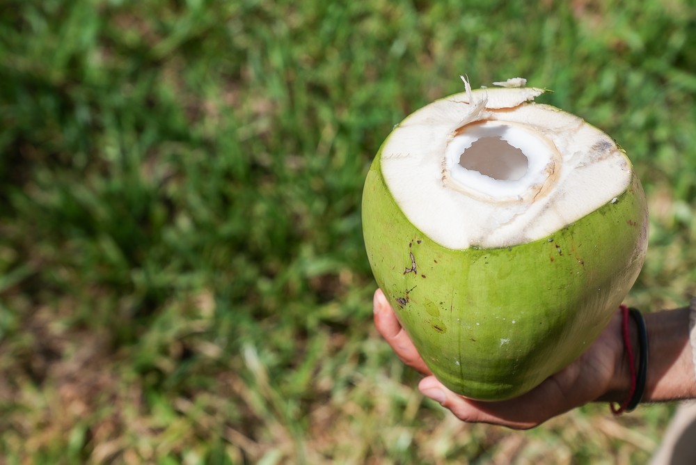 Água de coco é alternativa natural a isotônicos para atividades físicas de intensidade leve ou moderada