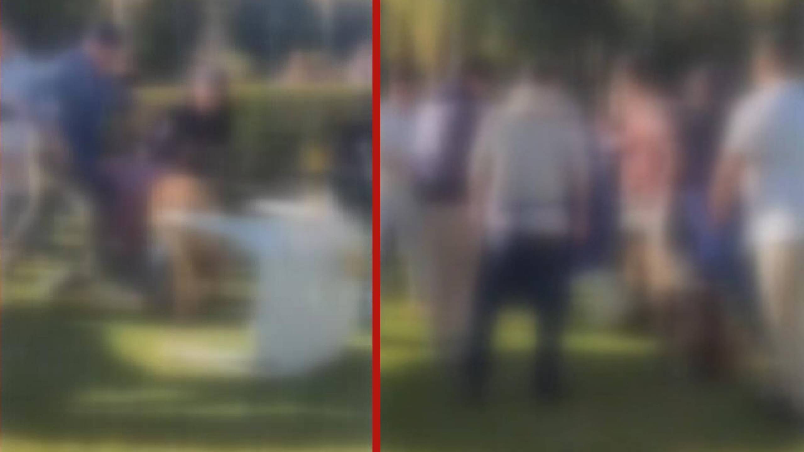 Discussão por cão sem focinheira termina em briga, em Curitiba