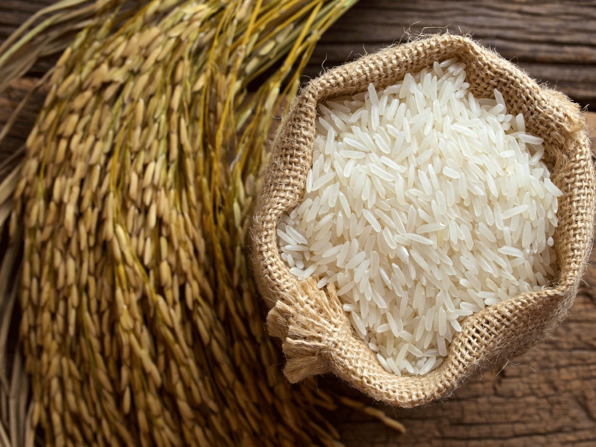 SC zera ICMS de arroz, feijão e quatro tipos de farinha; entenda 