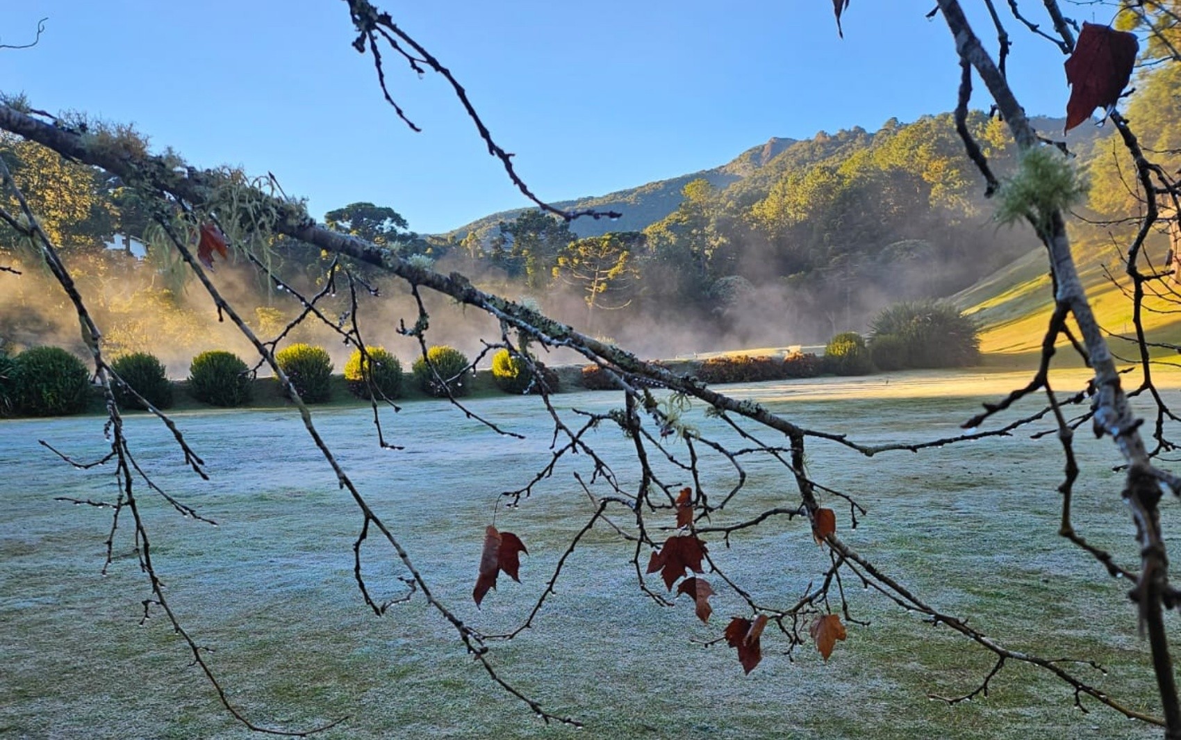 Serra da Mantiqueira registra manhã gelada de inverno com 1,3°C em Monte Verde, no Sul de MG