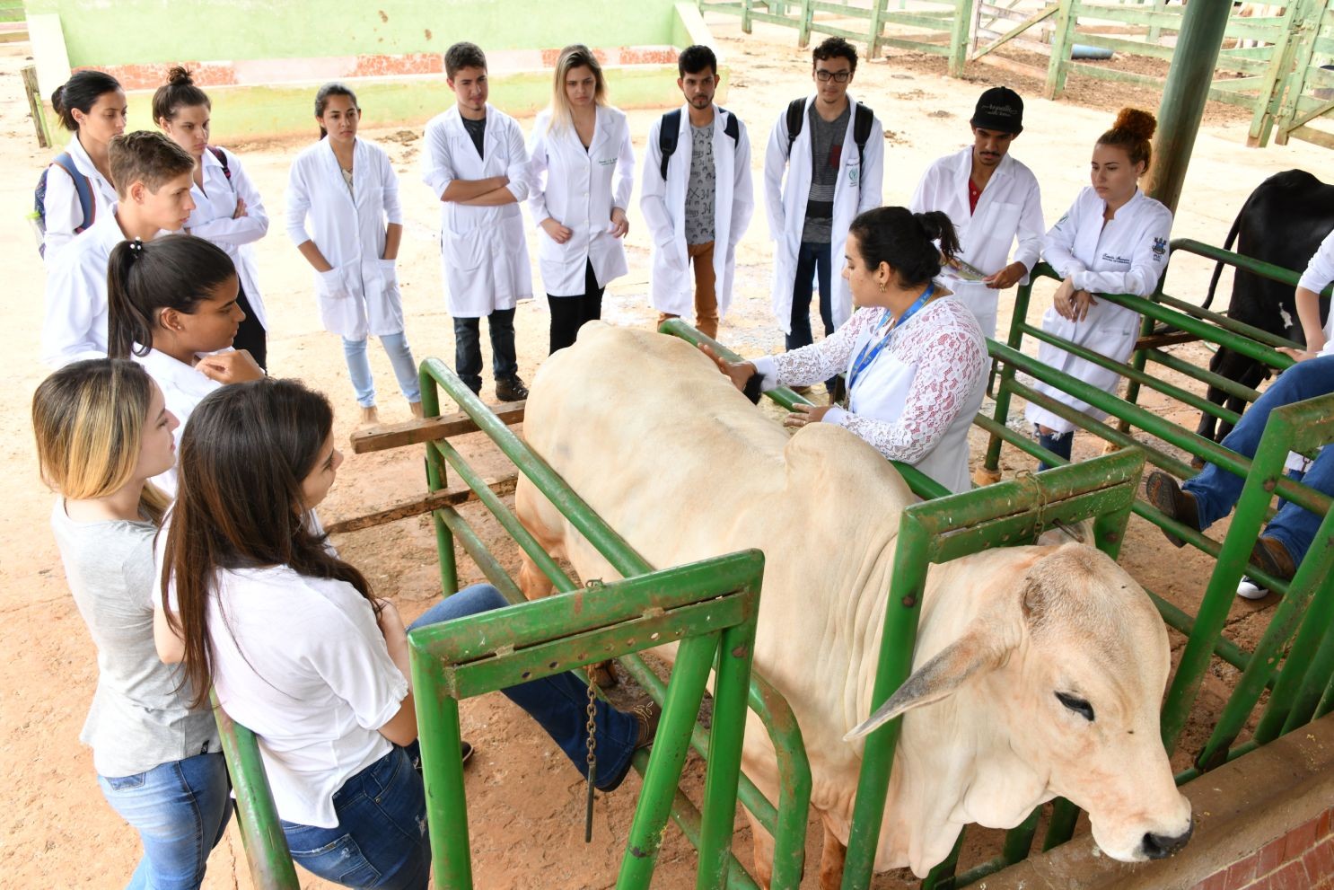 Como escolher o curso certo na PUC Goiás?